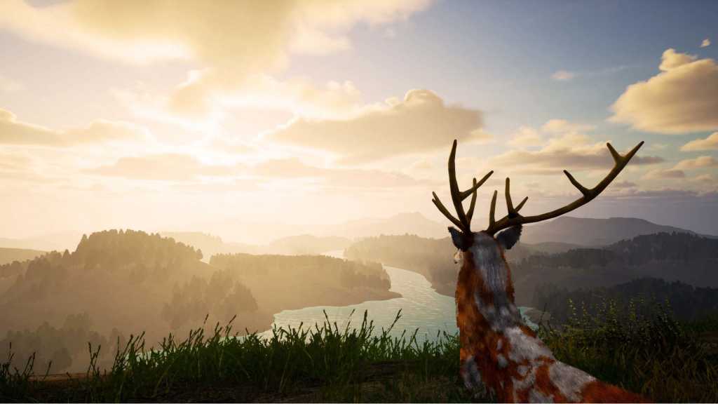 鹿之旅/Deer Journey