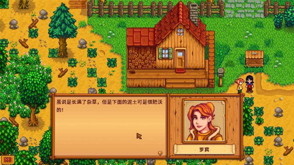 星露谷物语/Stardew Valley/支持网络联机