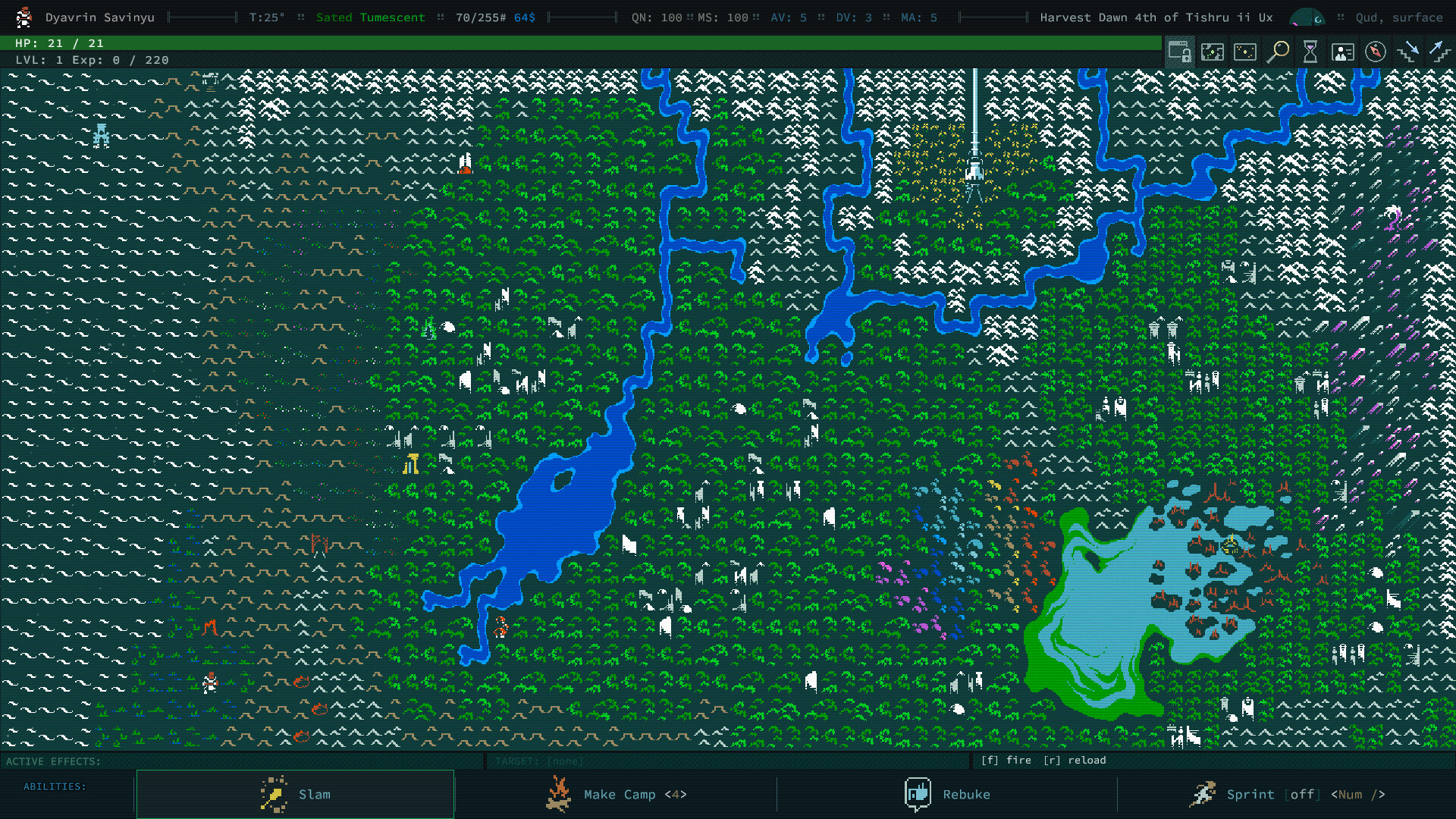 卡德洞窟/Caves of Qud